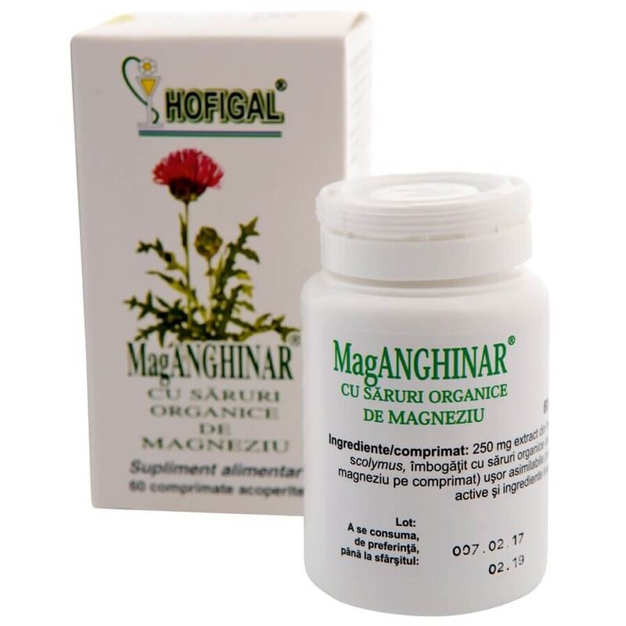 MagAnghinar, 60 tabletten, Hofigal