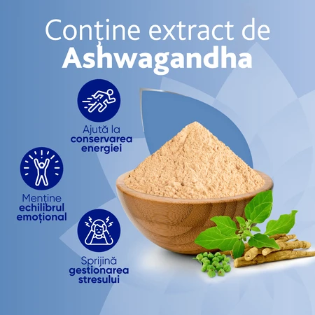 MagneVie Stress Resist avec Ashwaghanda 80 mg + 60 mg de magnésium + 1,4 mg de vitamine B6, système nerveux et résistance au stress, 4x30 comprimés