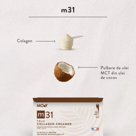 Rinderkollagen Creamer mit m31 Peptiden, 15 Beutel x 7 g, Molecules of Youth