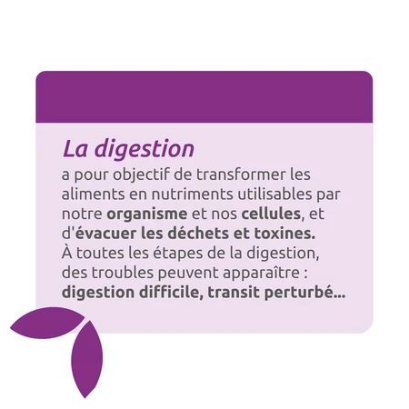 Herbesan Desmodium Bien-Être Du Foie 20 Ampoules