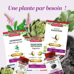 Superdiet Lime Tree Organic Digestion 20 fiolek Digestive Wellness: ceny i cechy