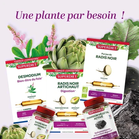 Superdiet Lime Tree Organic Digestion 20 fiolek Digestive Wellness: ceny i cechy