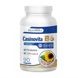 Casinovita B6, 90 cápsulas, Medicinas