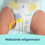 Pampers Premium Care, diapers, size 7, 15+ kg, 32 pieces
