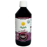 Joy Day Bevanda probiotica concentrata, Cardio Up Beetroot, 500 ml