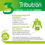 Tributron set, 2 x 30 capsules