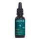 Caudalie Vinoclean, olio notte detox, 30 ml