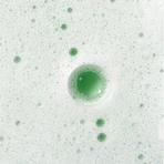 Caudalie Vinoclean, espuma limpiadora, 50 ml