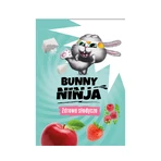 Bunny Ninja Fruit Rolls set, gustare de fructe, 4 x 15 g + carte de colorat gratuită