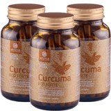 PROMO : 3 Bouteilles de Curcuma ECO Strong 120 Capsules, Aronia