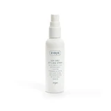 Hair Care Hair Care Antioxidant Styling Spray 90 ml, Ziaja
