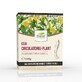 T&#233; Circulatorio - Piernas sin varices, 150 g, Dorel Plant