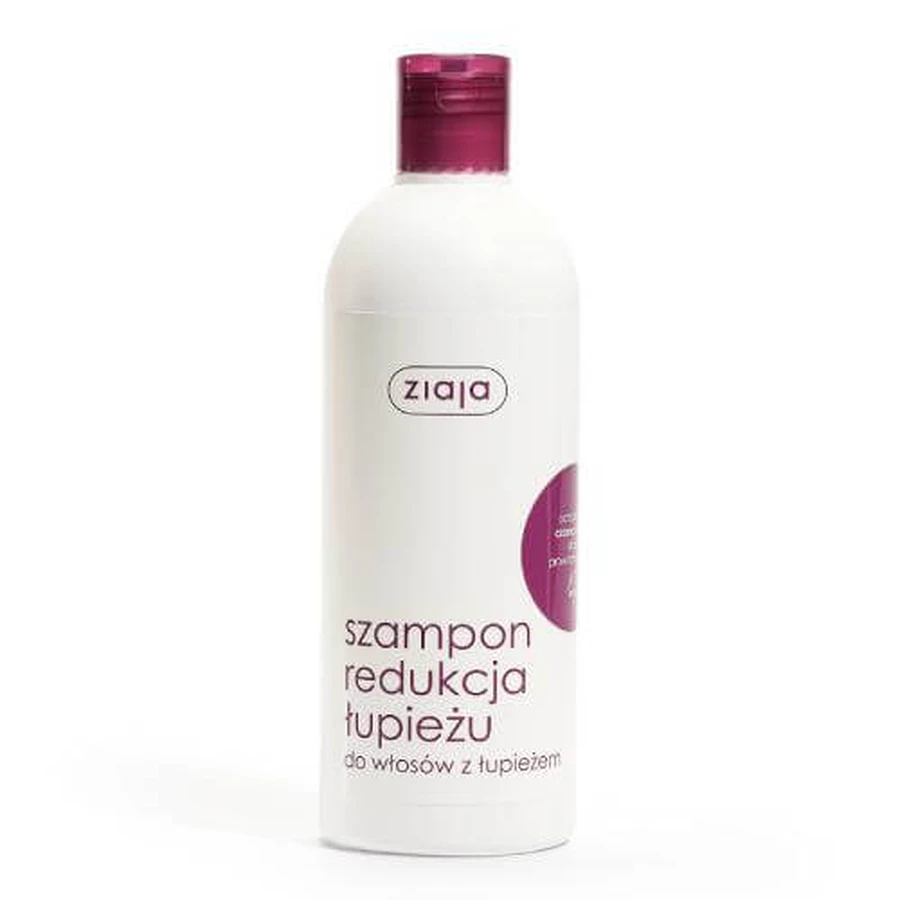 ZIAJA Zwarte Meiraap Shampoo, 400ml