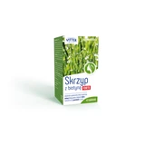 Vitter Blue Horsetail avec Biotin Forte, 45 comprimés