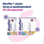Dicoflor Junior, 10 pliculețe