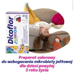 Dicoflor Junior, 10 pliculețe