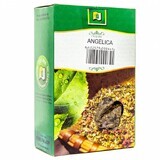 Té de angélica, 50 g, Stef Mar Valcea