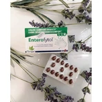 Tilman Enterofytol Supliment Alimentar Special 60 capace
