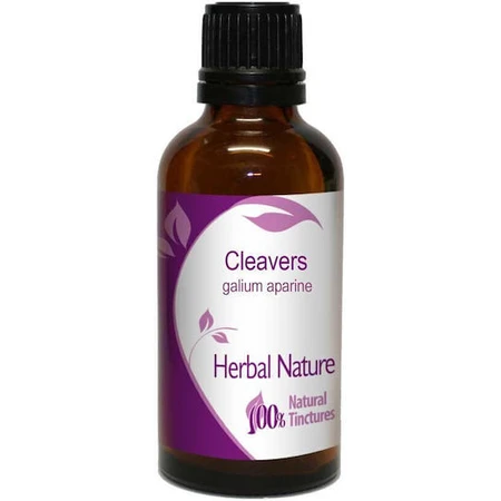 Tinktur der klebrigen Tinktur 50ml Natur & Körper