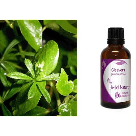 Tinktur der klebrigen Tinktur 50ml Natur & Körper