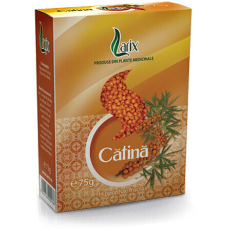 Té de Catina, 75 g, Larix