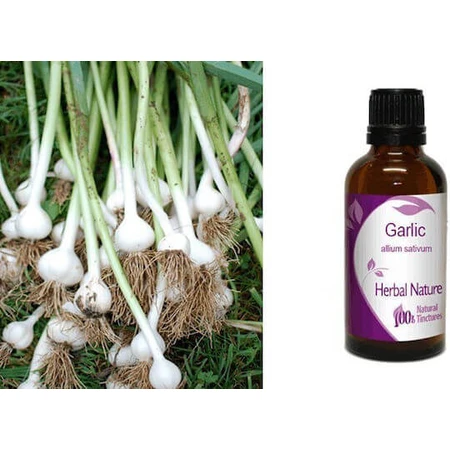 Tintura de Ajo 50ml Nature & Body