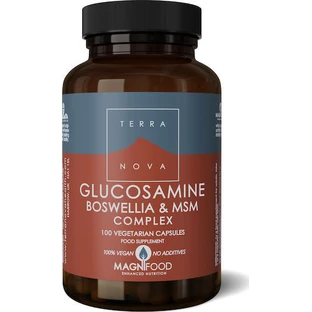 TerraNova Glucosamine Boswellia & MSM Complex Supliment pentru Sănătatea Articulațiilor & Oaselor 100 capsule veget