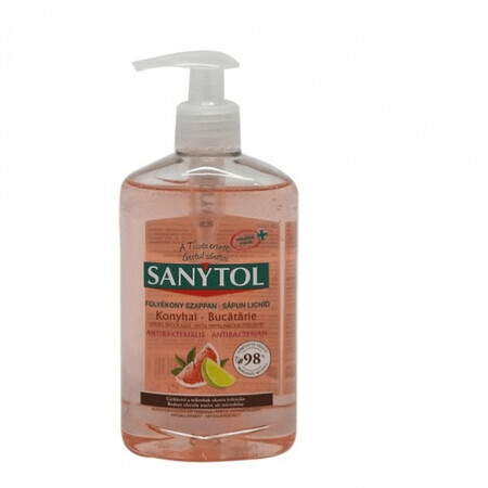 Sapone da cucina antibatterico, 250ml, Sanytol