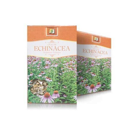 Echinacea kruidenthee, 50 g, Stef Mar Valcea