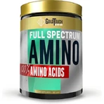 GoldTouch Nutrition Full Spectrum Amino 300 Capsule spectru complet