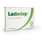 Erbozeta Lactodep Probiotyki 30 kaps: ceny i cechy