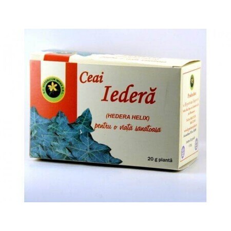 Té de hiedra, 20 g, Hypericum