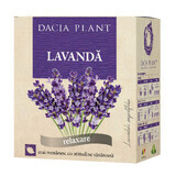 Té de lavanda, 50g, Dacia Plant