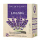 T&#233; de lavanda, 50g, Dacia Plant