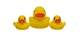 Juguetes de Baño Patitos Earthsmart Vital Baby