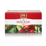 Té Macese, 20 bolsitas, Stef Mar Valcea