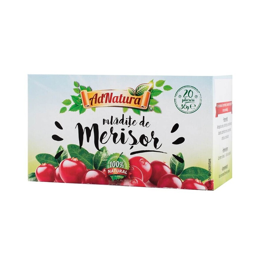 Cranberry thee, 25 builtjes, Adnatura