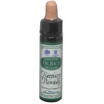 Ainsworths Recovery Remedy Flower Essence Drops 10ml