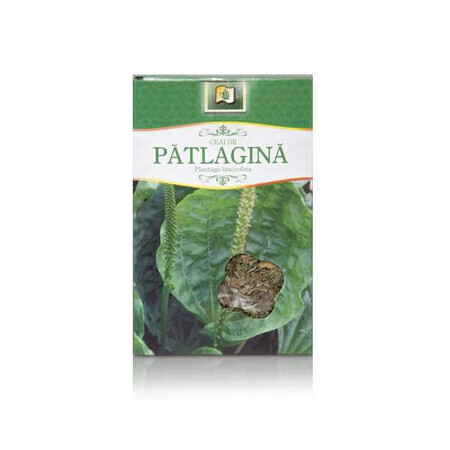 Tè di piantaggine, 50 g, Stef Mar Valcea