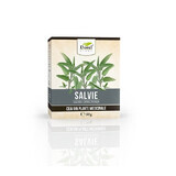 Salie thee, 50 g, Dorel Plant