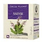 Té de Salvia, 50g, Dacia Plant