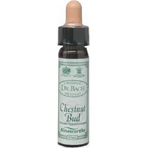 Ainsworths Chestnut Bud Esență Florală în Picături 10ml