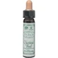 Ainsworths Chestnut Bud Esență Florală în Picături 10ml