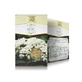 Té de flor de saúco, 50 g, Stef Mar Valcea