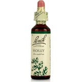 Essenza floreale di Bach Holly in gocce 20ml