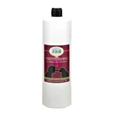 Shampooing purifiant Iv San Bernard Technique, pour chiens et chats, 1000 ml