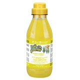 Shampooing Iv San Bernard au gingembre et au sureau, pour chiens et chats, 500ml