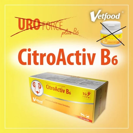 VetFood CitroActiv B6, 120 cápsulas