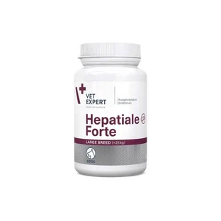 Hepatiale Forte Grote Fok 550 mg - 40 Tabletten