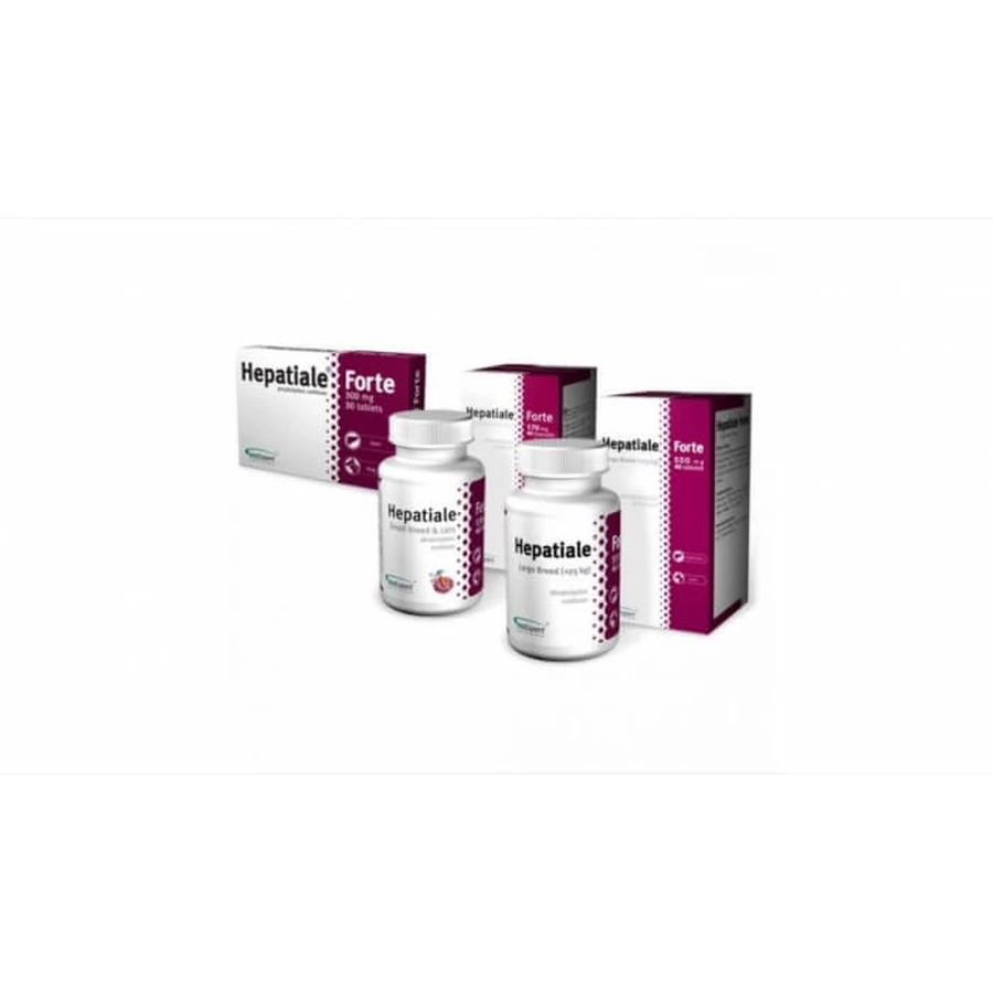 Hepatiale Forte Grote Fok 550 mg - 40 Tabletten